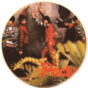 Vinile picture disc