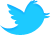 Twitter Icon